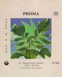prisma_numm-2067304405-20260716_142644